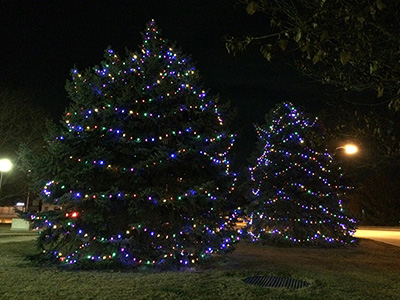 Tree lighting